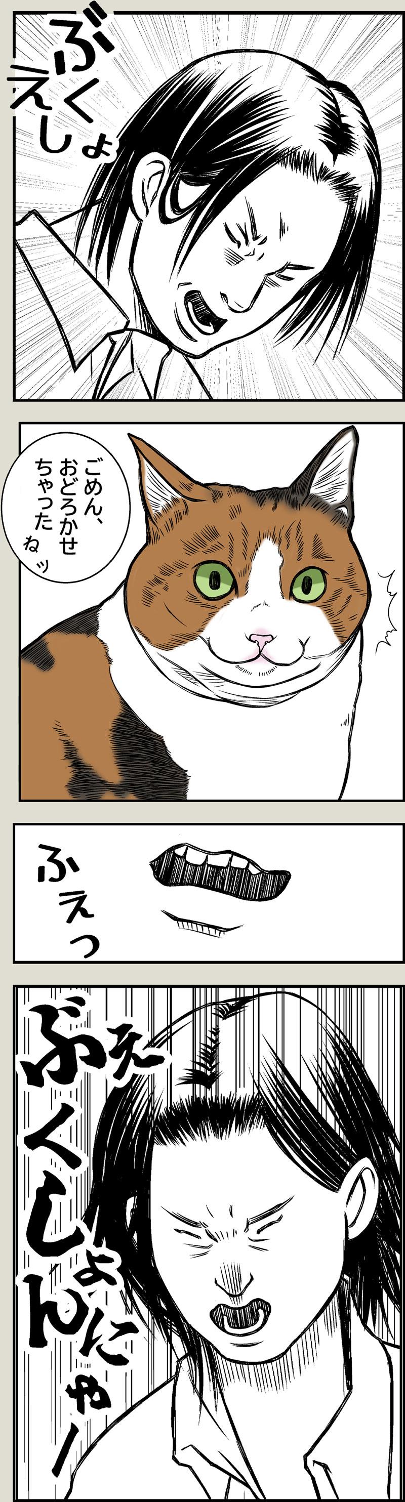 猫と夏風邪1