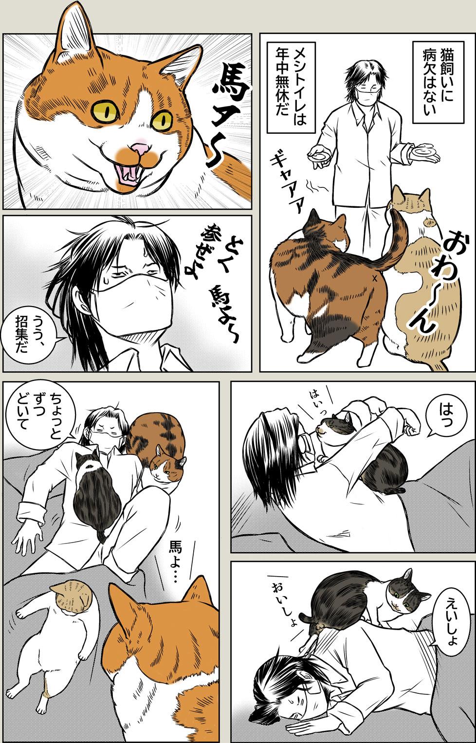 猫と夏風邪2