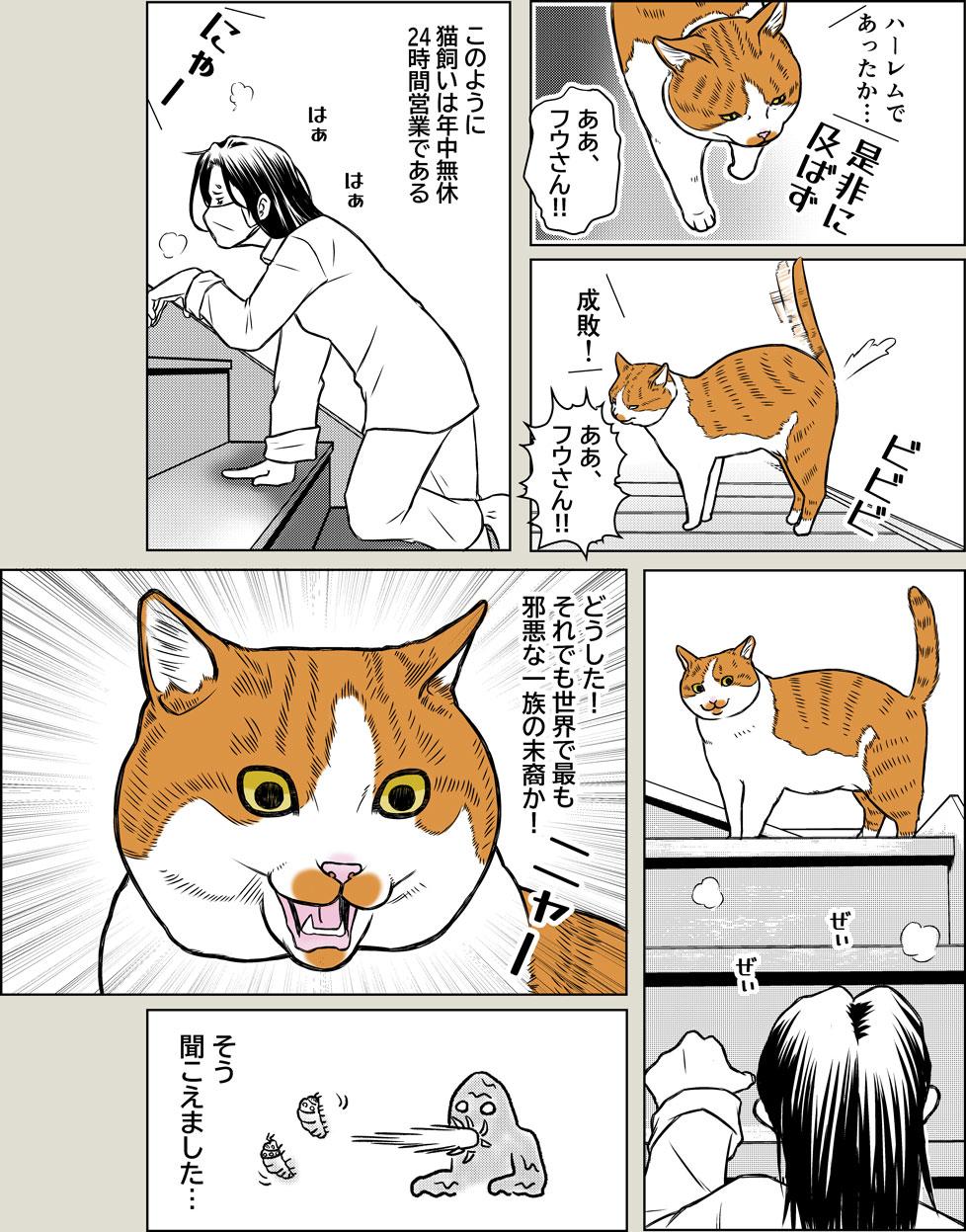 猫と夏風邪2
