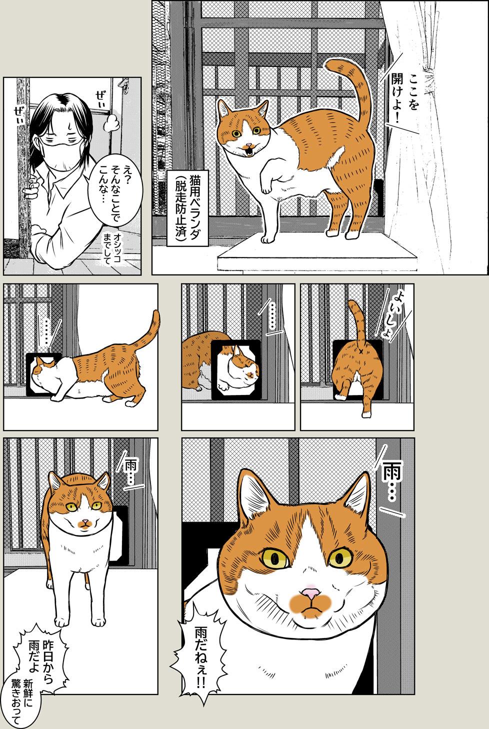猫と夏風邪2