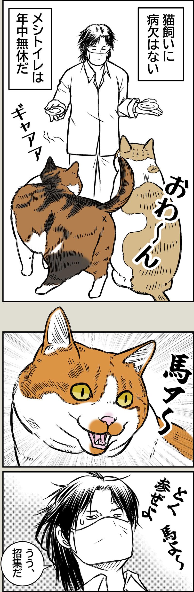 猫と夏風邪2
