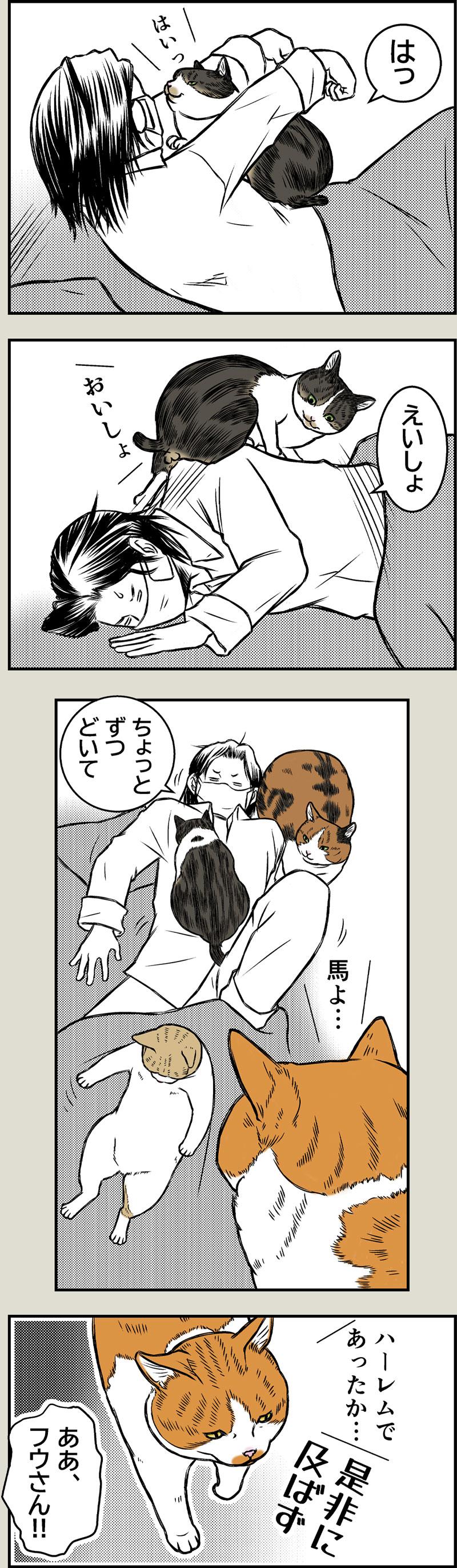 猫と夏風邪2