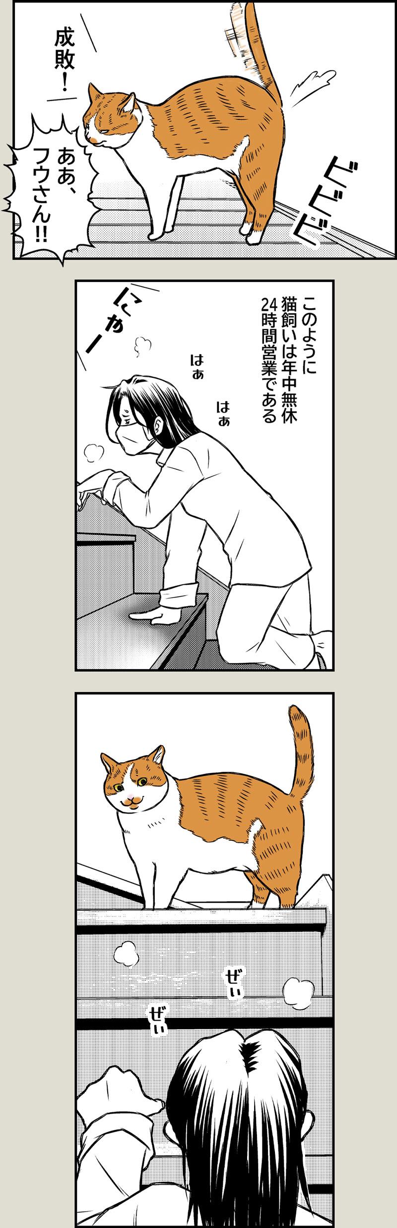 猫と夏風邪2