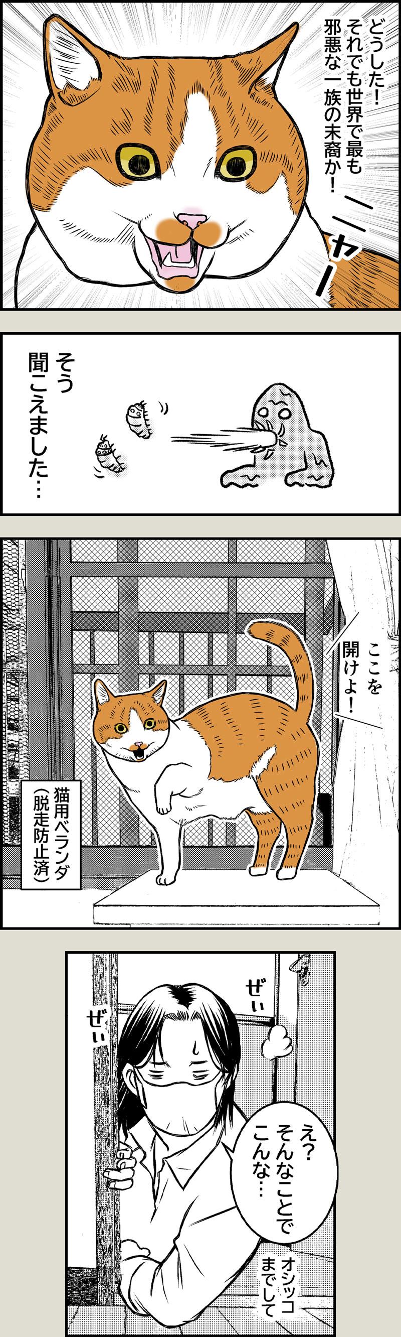 猫と夏風邪2