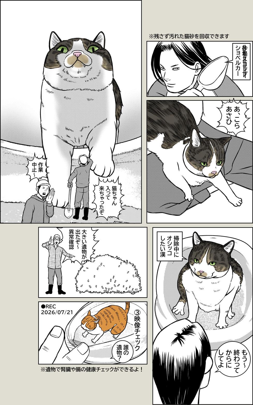猫トイレ掃除