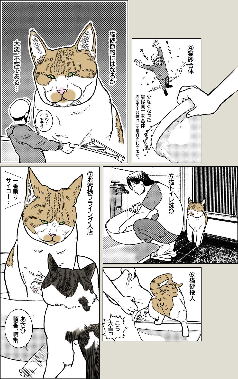 猫トイレ掃除