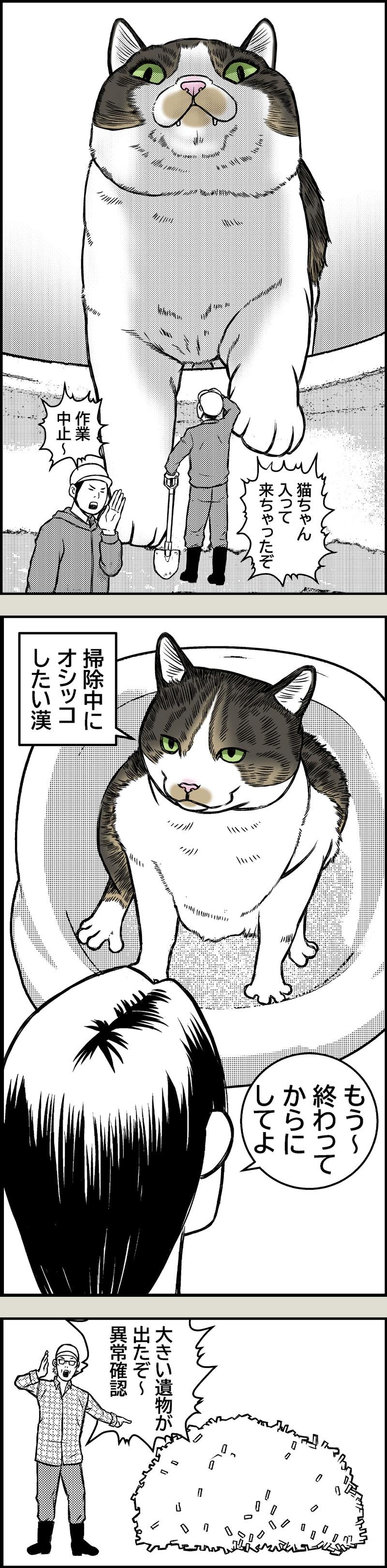 猫トイレ掃除