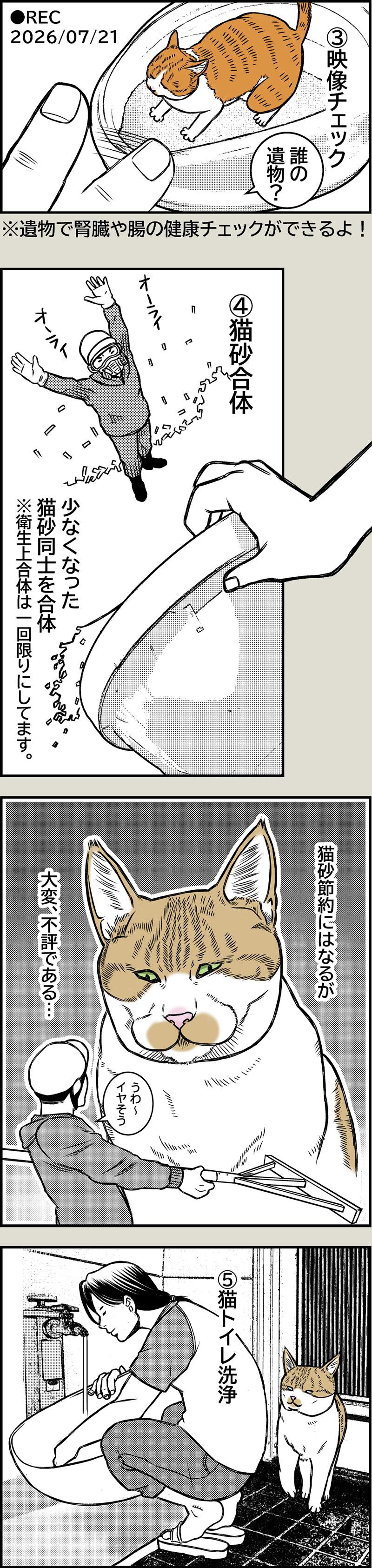 猫トイレ掃除