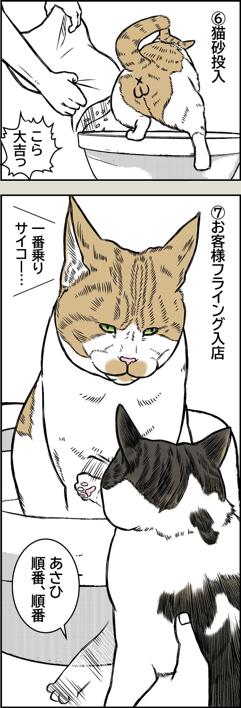 猫トイレ掃除