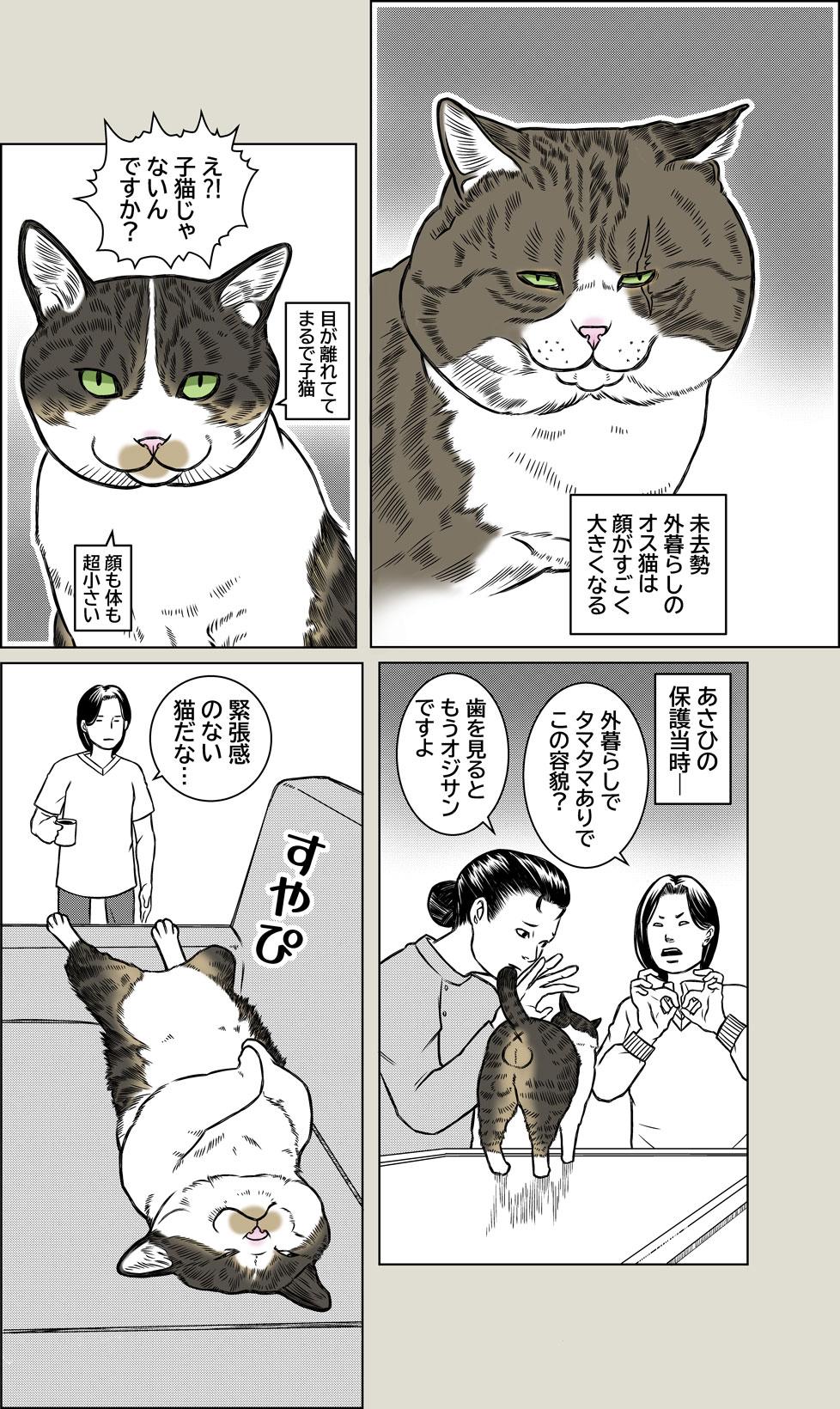 目覚めよ、野生