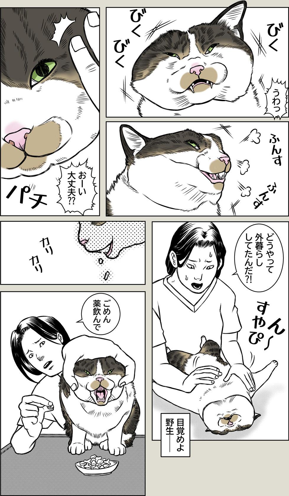 目覚めよ、野生