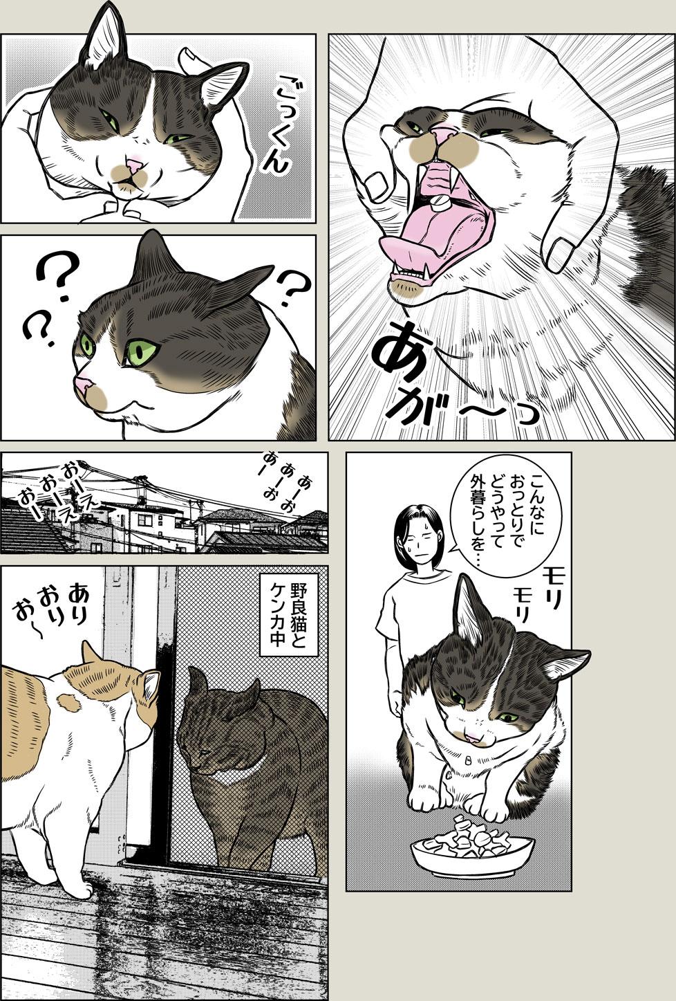 目覚めよ、野生
