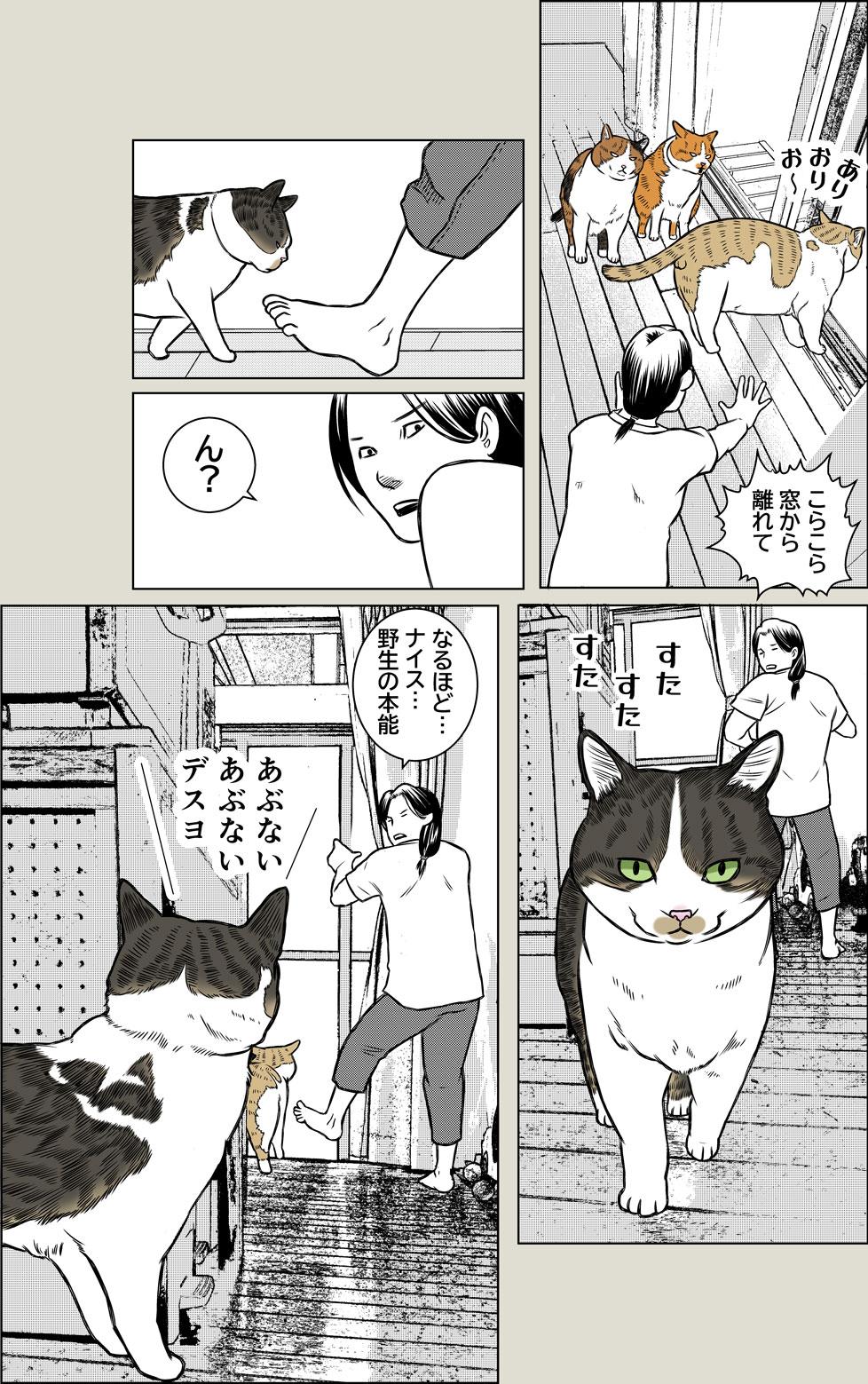 目覚めよ、野生