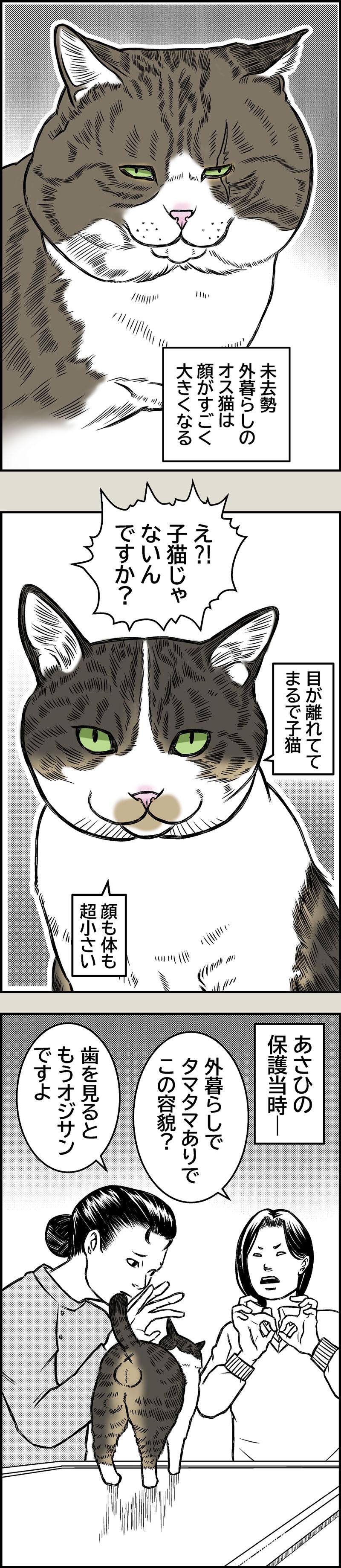 目覚めよ、野生