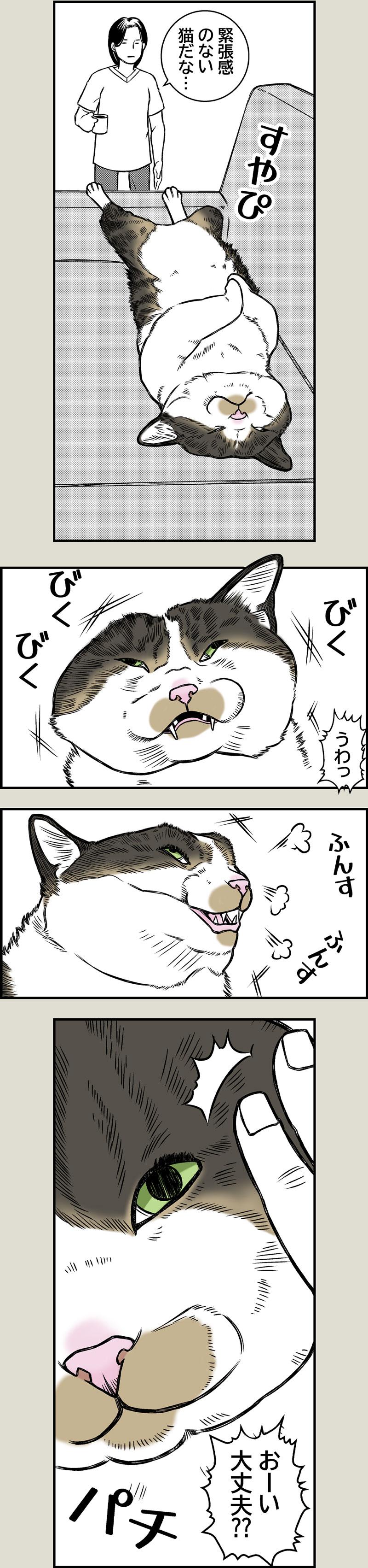 目覚めよ、野生