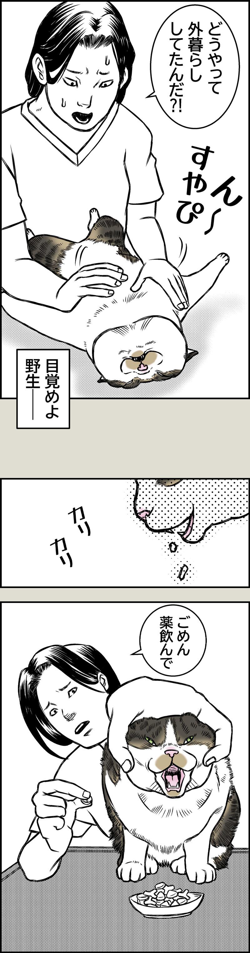 目覚めよ、野生