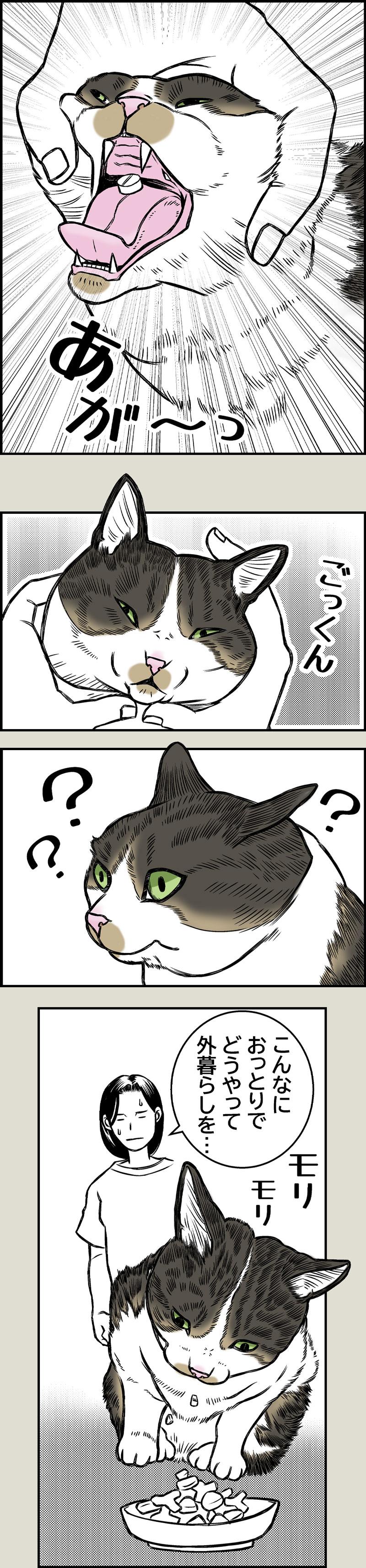 目覚めよ、野生