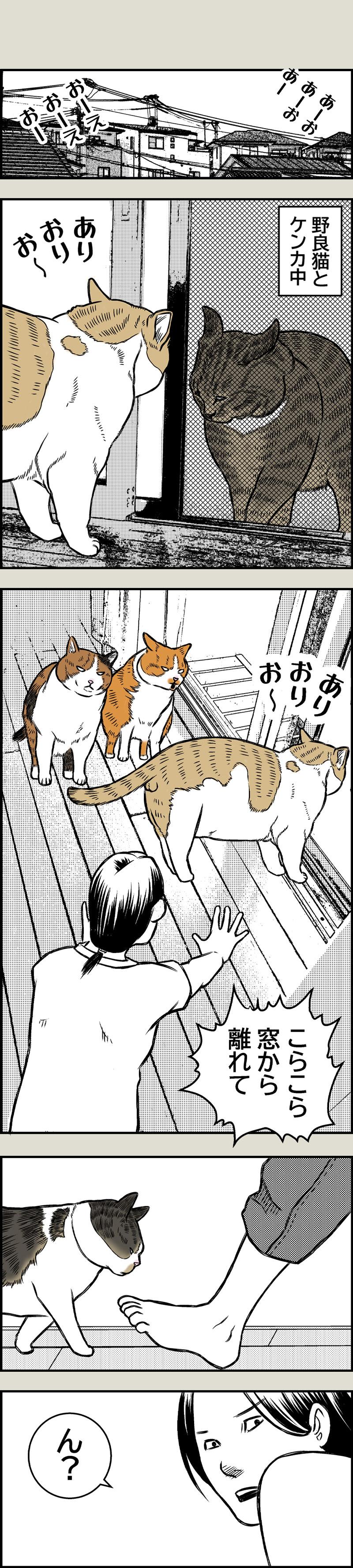 目覚めよ、野生