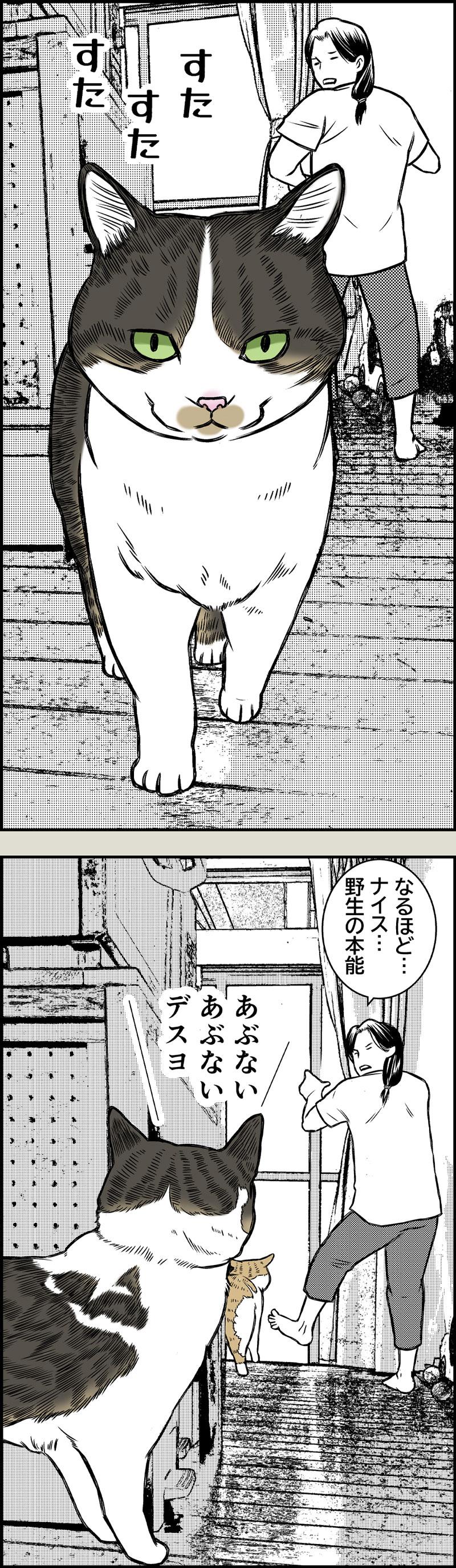 目覚めよ、野生