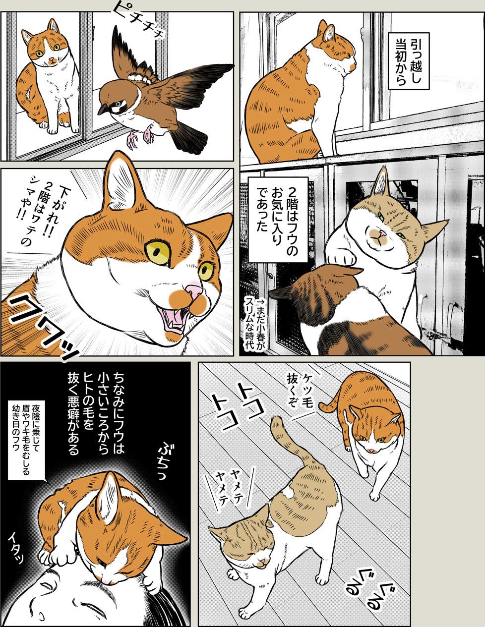 ポケポケ