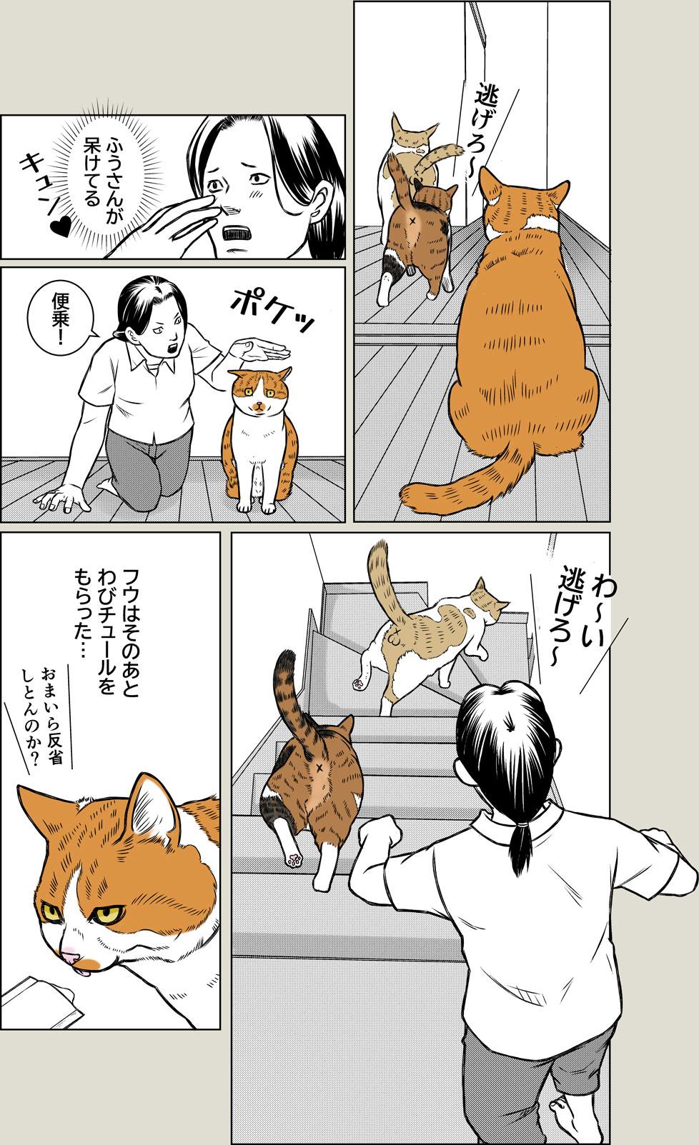 ポケポケ