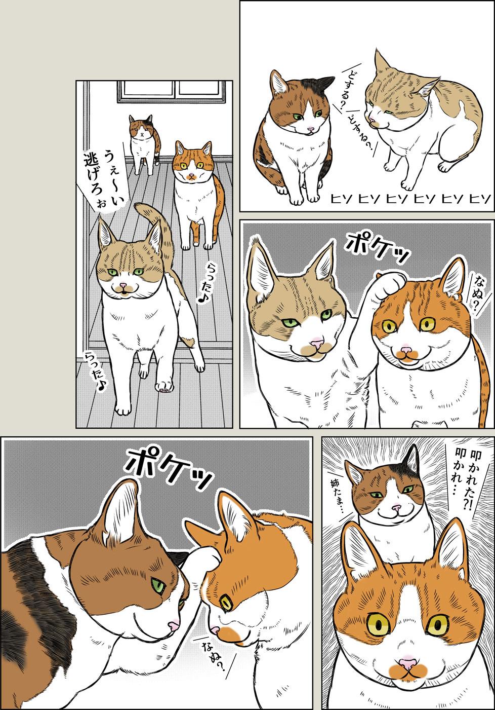 ポケポケ