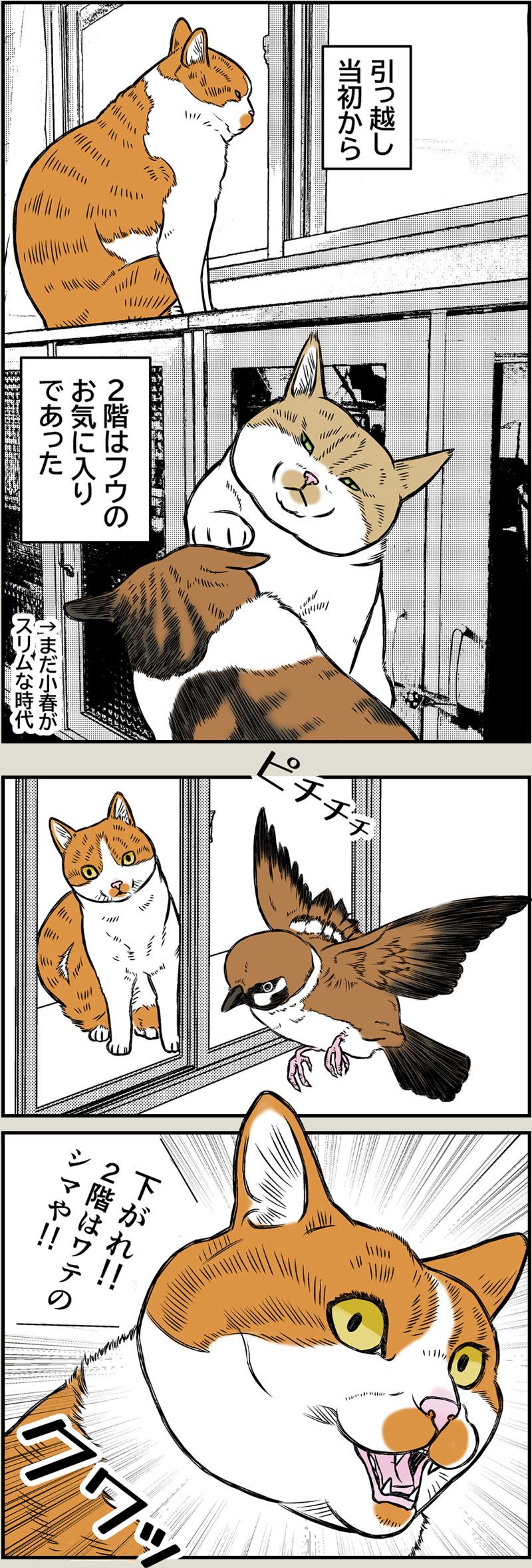 ポケポケ