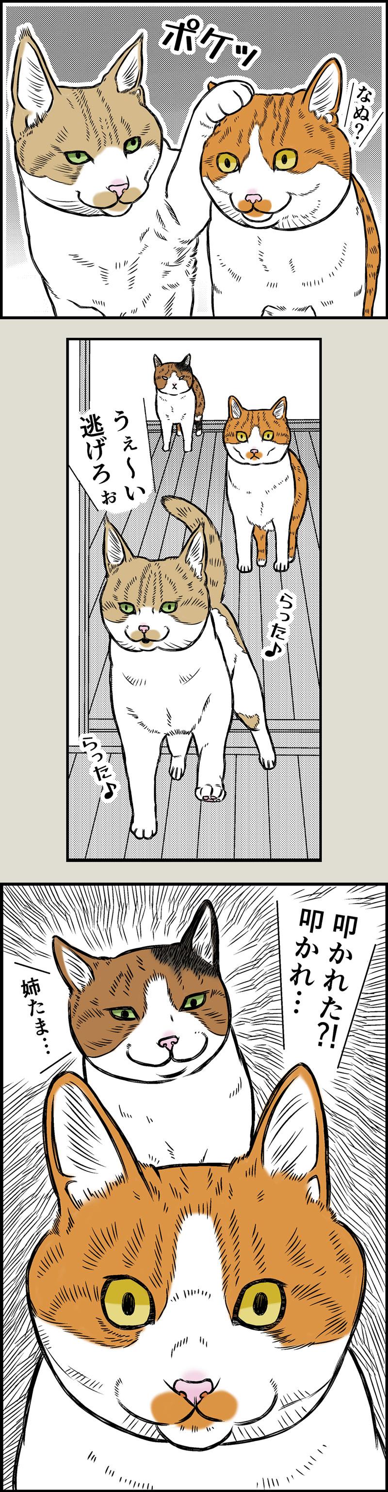 ポケポケ