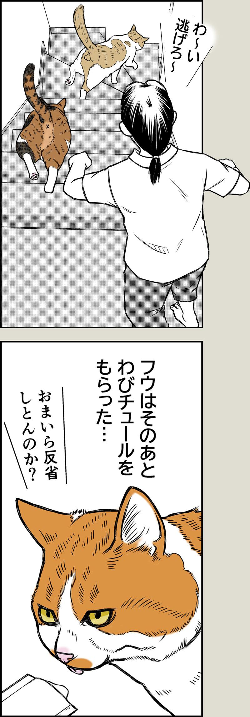 ポケポケ