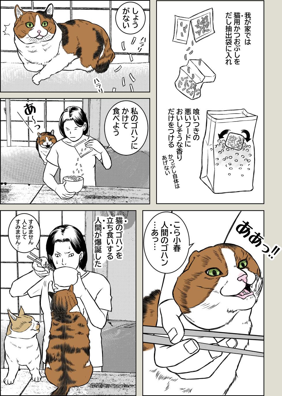 ご禁制メシ