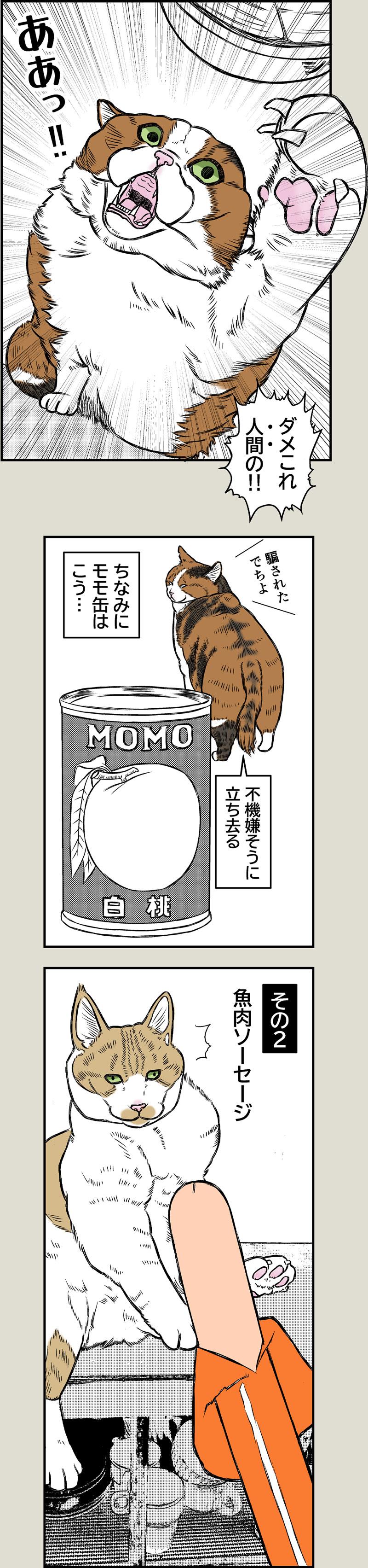 ご禁制メシ