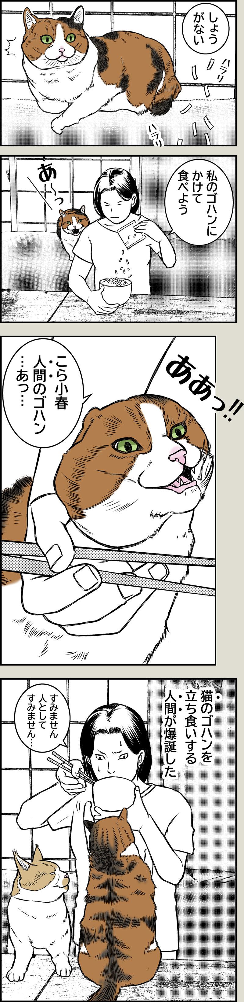 ご禁制メシ