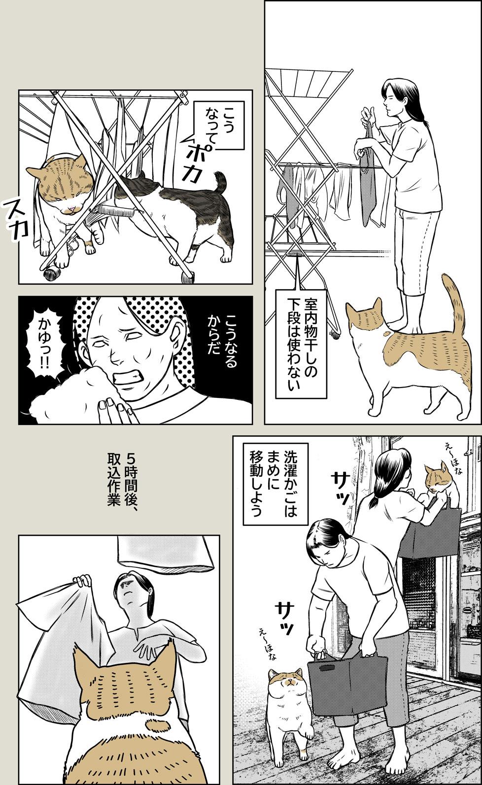 洗濯の心得