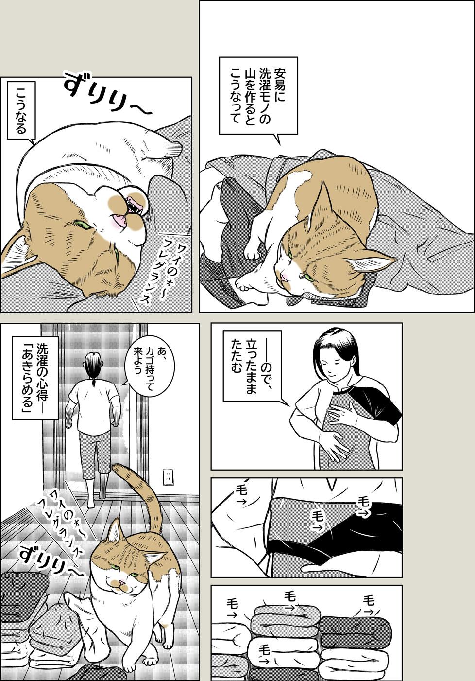 洗濯の心得