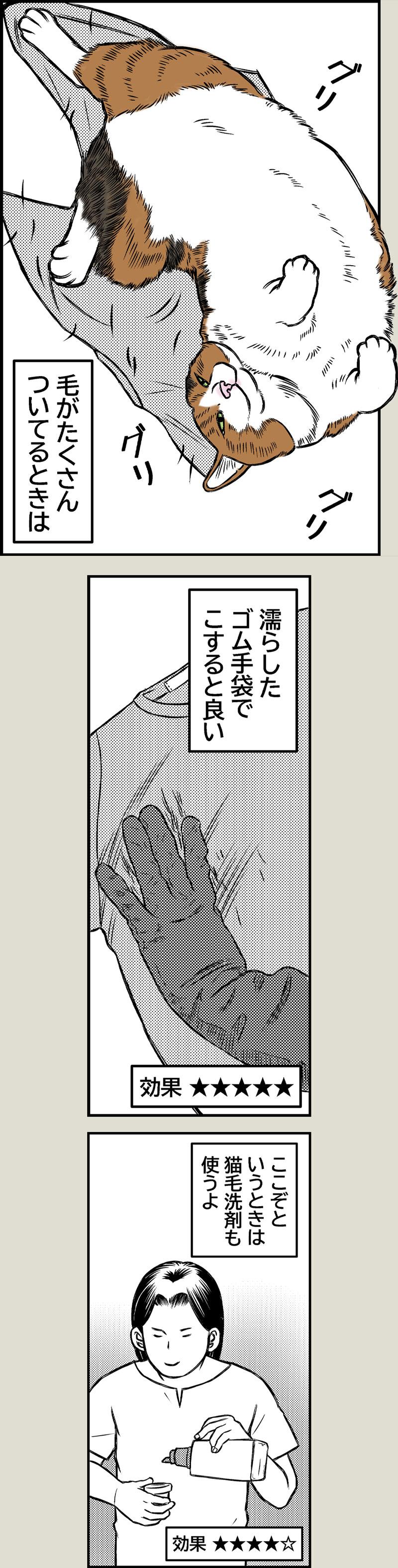 洗濯の心得