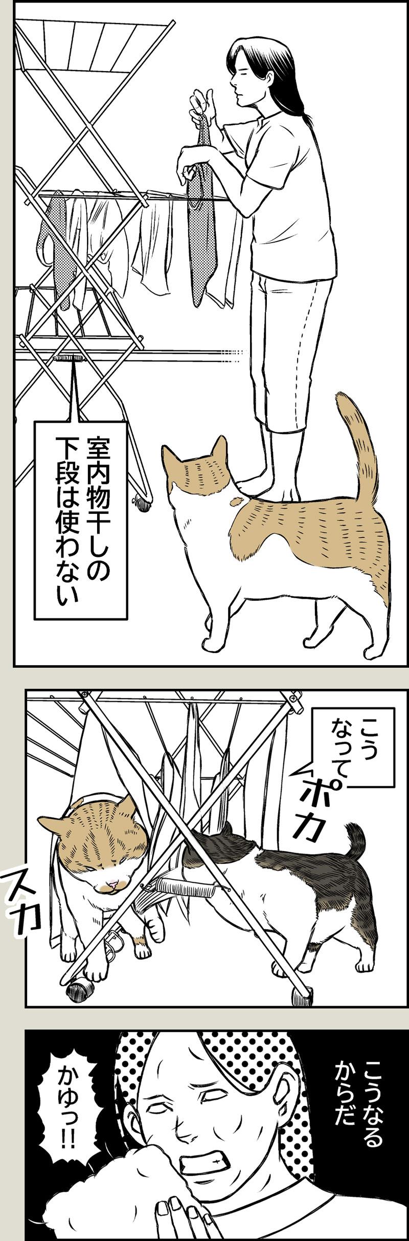 洗濯の心得