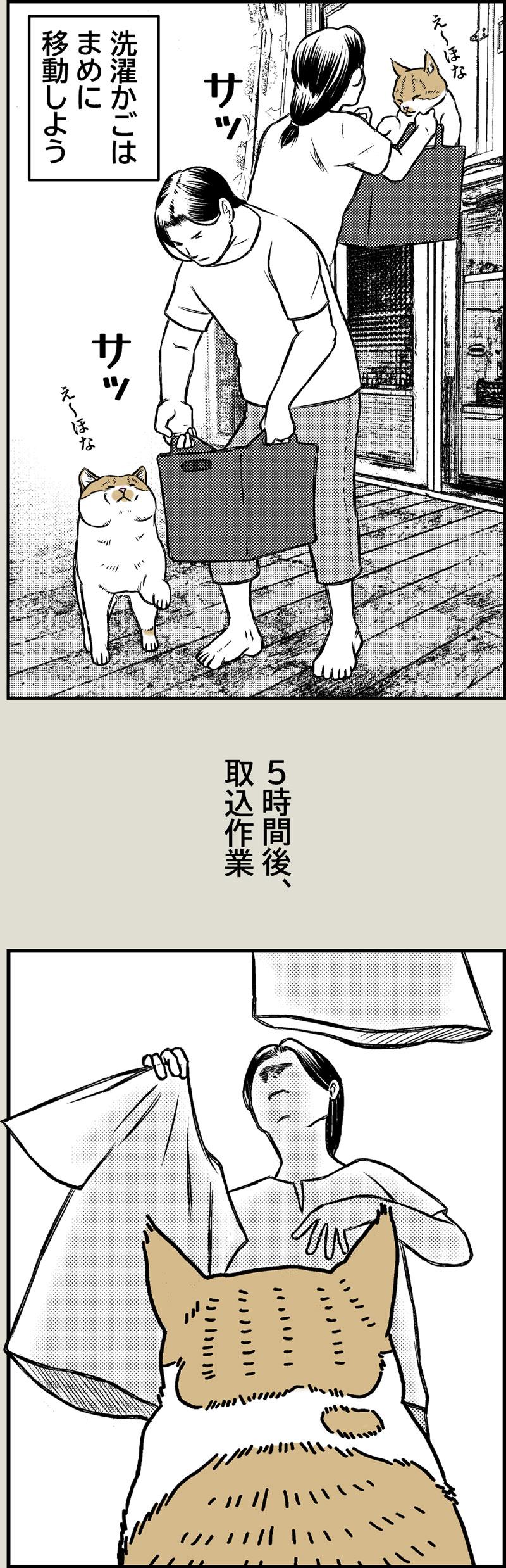 洗濯の心得