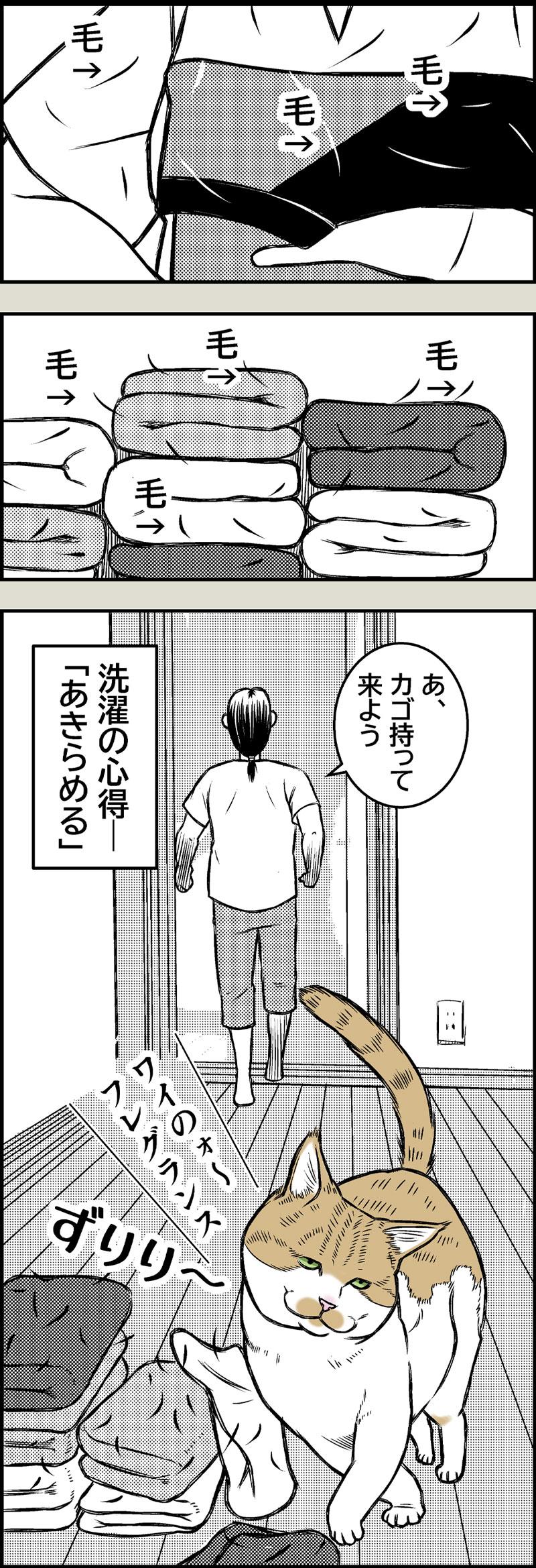 洗濯の心得