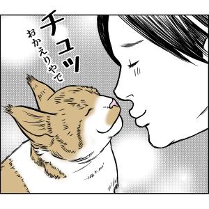 猫マンガ ハーレムナイト