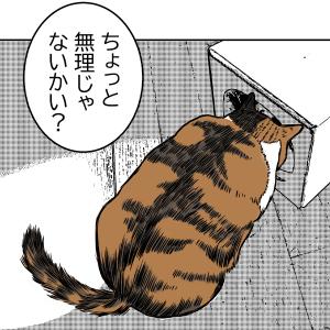 猫プレイルーム