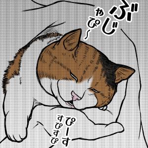 更年期老年期