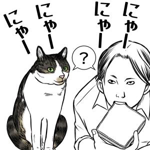 猫屋敷