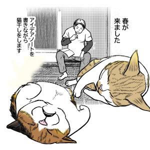 猫SF
