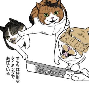 ハムの人