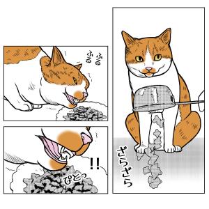 懐かしき日々