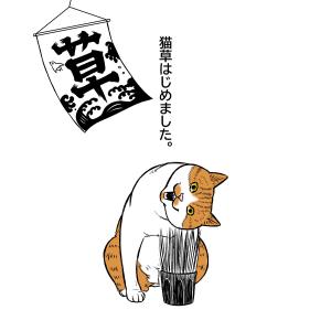 猫草はじめました