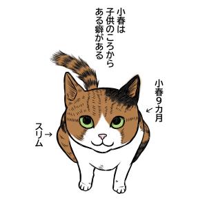 小春の癖 前編