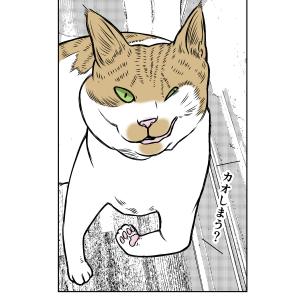 【猫科学】物質の三態