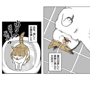 猫とクーラー
