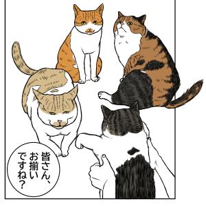 猫、避難訓練